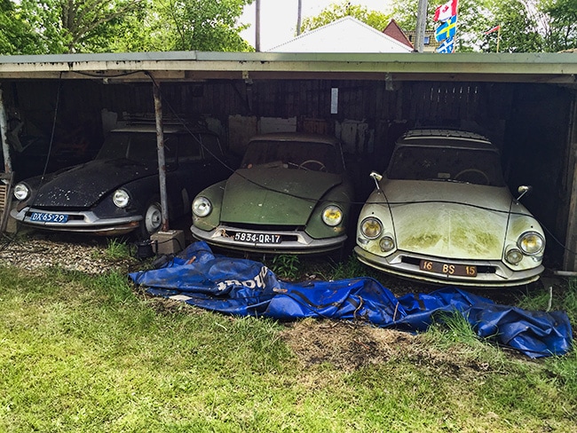 3 Citroen DS waiting to see better days