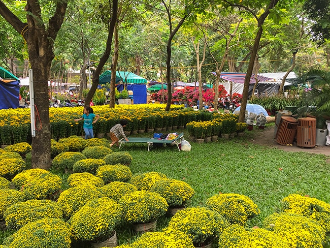 Only a few days to go before Tet. The park is a big flower market