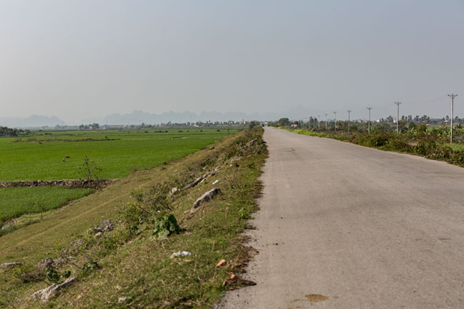 Road along the fields