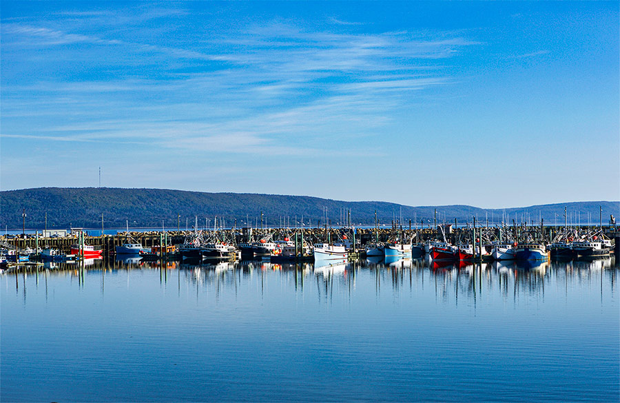 Digby Harbour