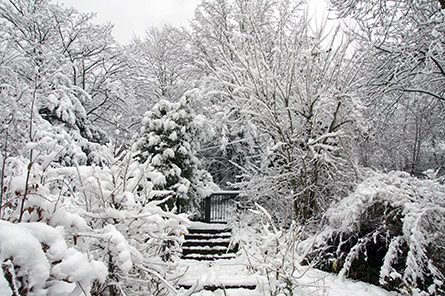 Winter at Altenberg
