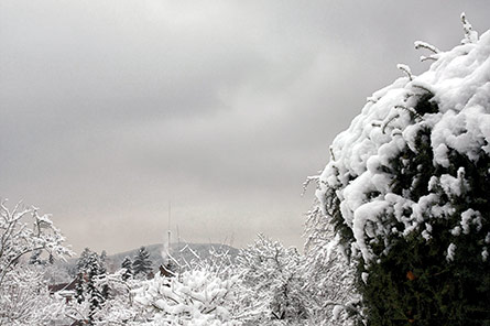 Winter at Altenberg