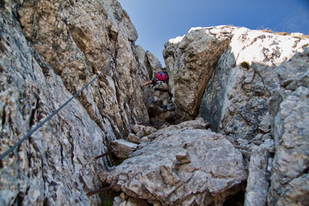 Alps 2009