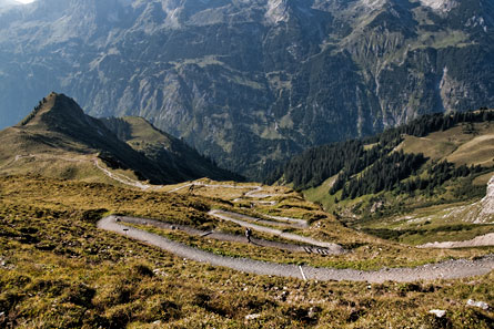 Alps 2009