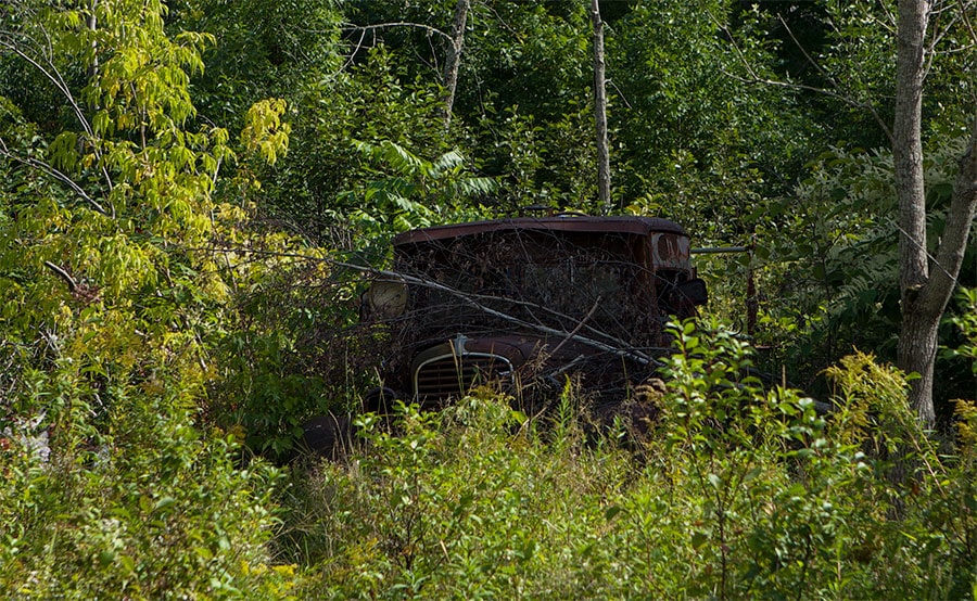 Rusty car in the Woods