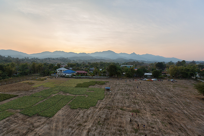 Hot air balloon over the garlic fields of Pai